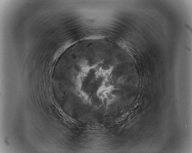 X0000097470337200802291316