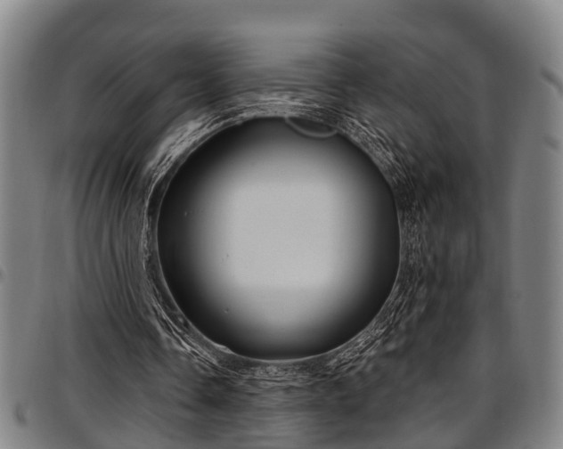 X0000097470338200802291316