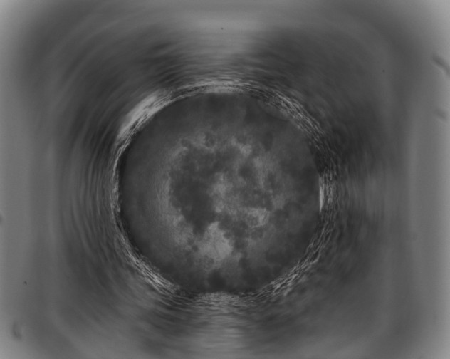 X0000097470339200802291316