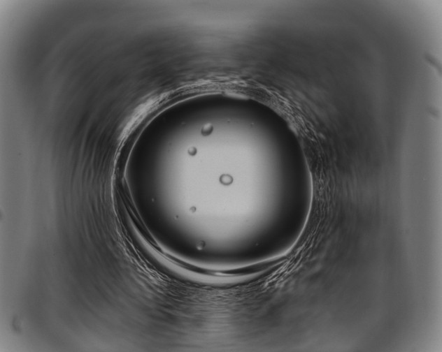 X0000097470340200802291316