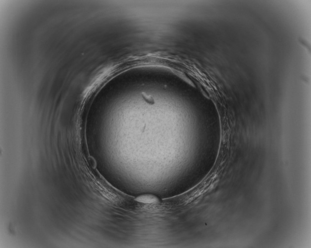 X0000097470341200802291316