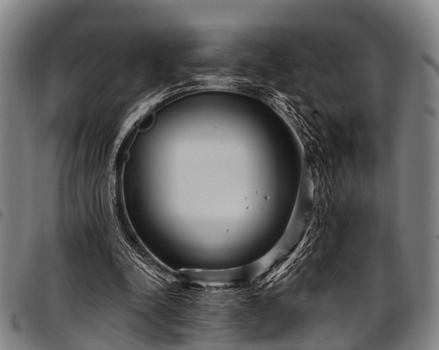 X0000097470342200802291316