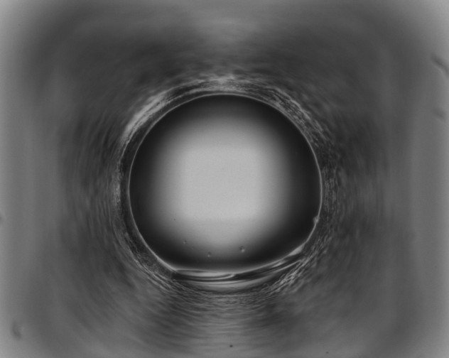X0000097470344200802291316