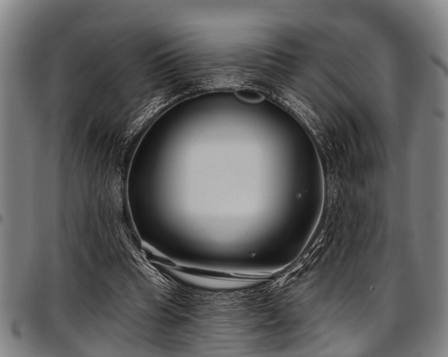 X0000097470345200802291316