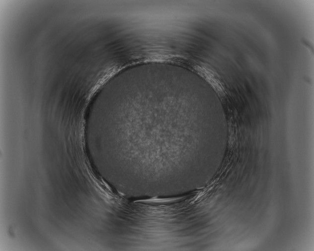X0000097470346200802291316