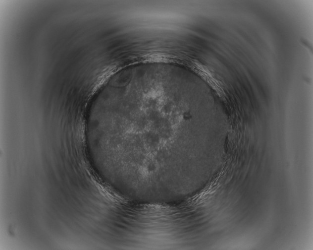 X0000097470347200802291316