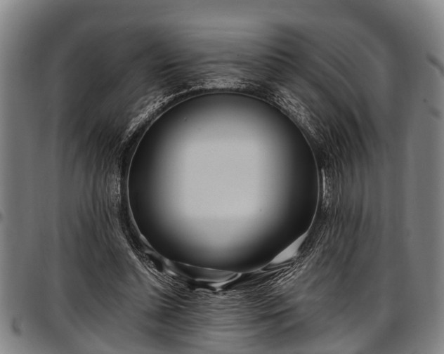 X0000097470348200802291316