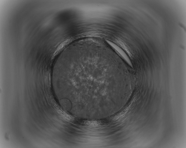 X0000097470349200802291316