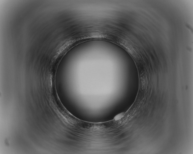 X0000097470350200802291316