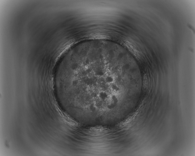 X0000097470351200802291316
