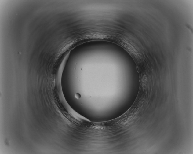 X0000097470352200802291316