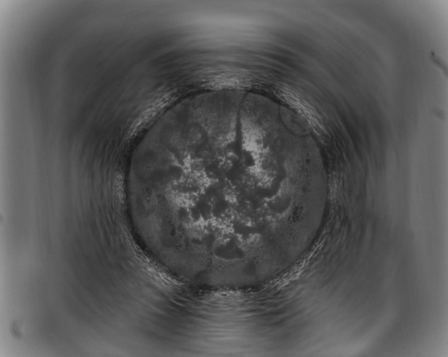 X0000097470353200802291316