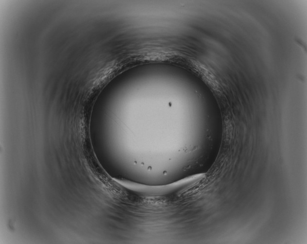 X0000097470354200802291316