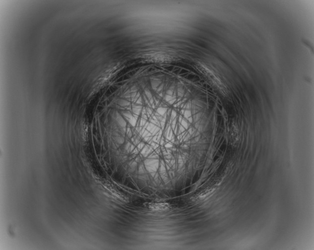 X0000097470355200802291316