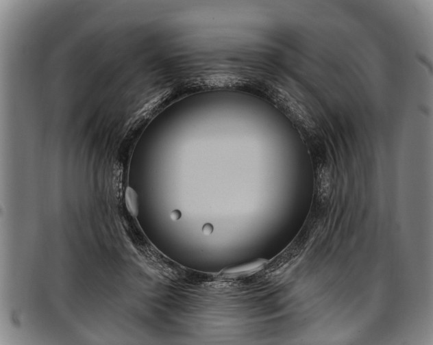 X0000097470356200802291316