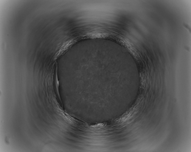 X0000097470357200802291316