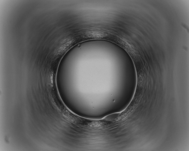 X0000097470358200802291316