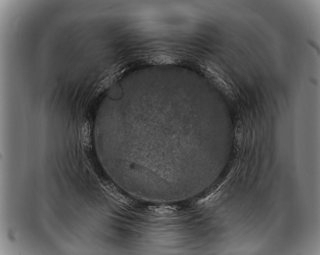 X0000097470359200802291316