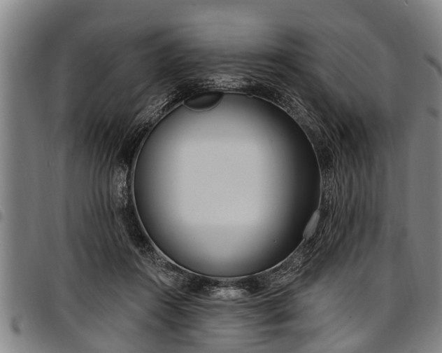 X0000097470360200802291316