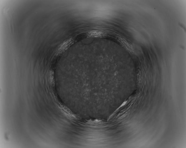 X0000097470361200802291317