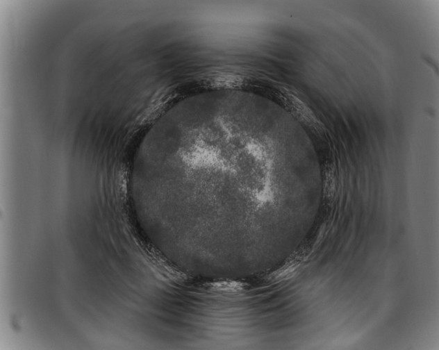 X0000097470363200802291317