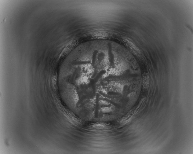 X0000097470365200802291317