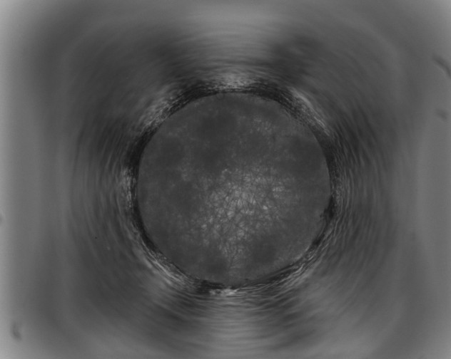 X0000097470366200802291317
