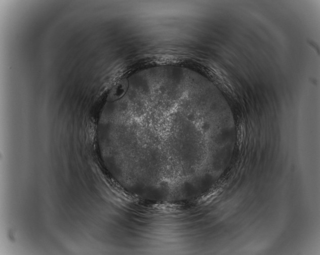 X0000097470367200802291317