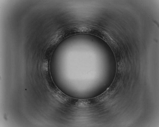 X0000097470368200802291317