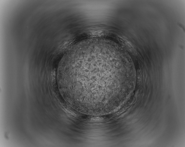 X0000097470369200802291317