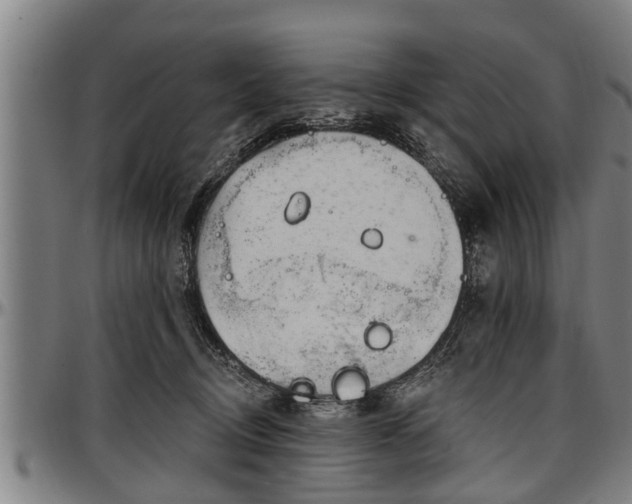 X0000097470370200802291317