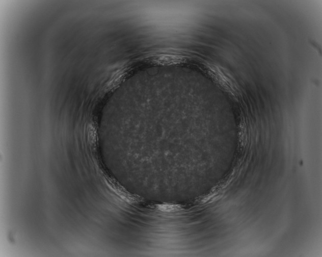 X0000097470371200802291317