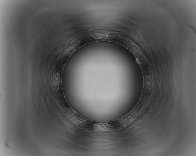 X0000097470372200802291317