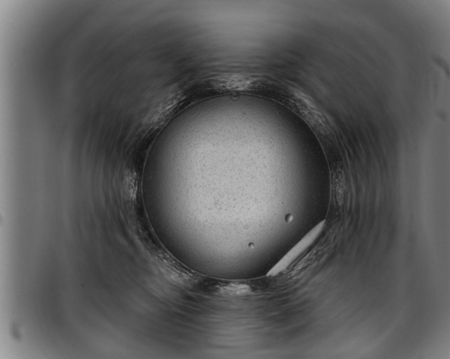 X0000097470374200802291317