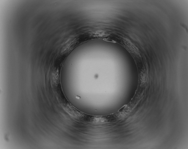 X0000097470376200802291317