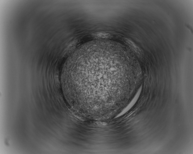 X0000097470377200802291317