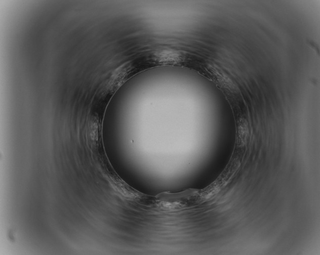 X0000097470379200802291317