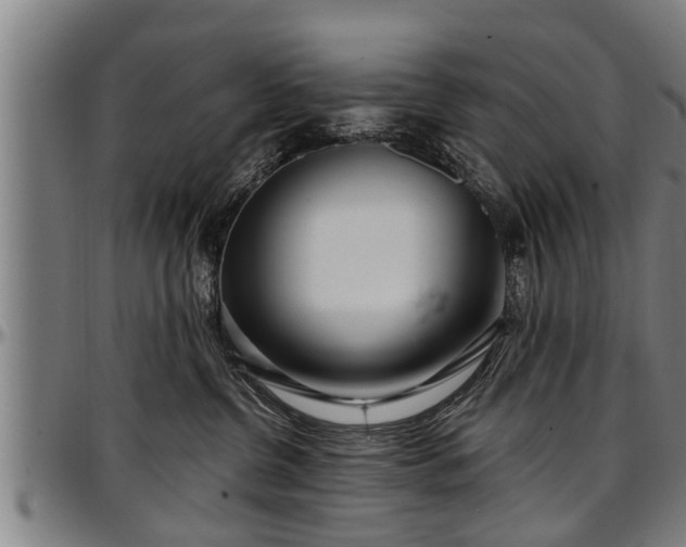 X0000097470380200802291317