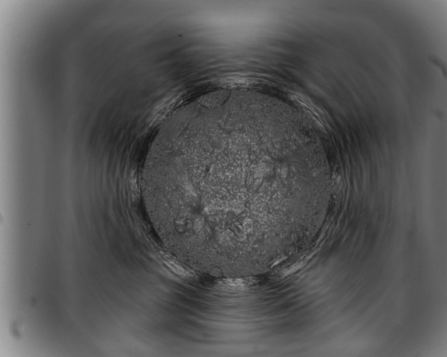 X0000097470381200802291317