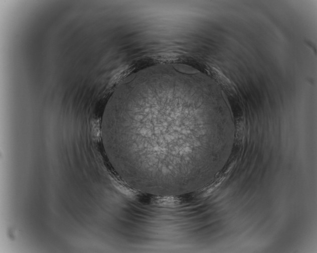 X0000097470383200802291317