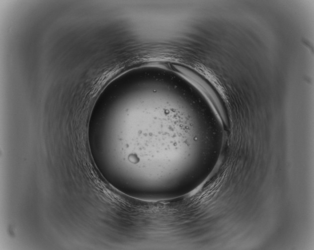 X0000097470385200802291316
