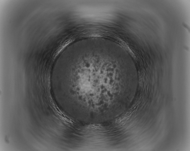 X0000097470386200802291316