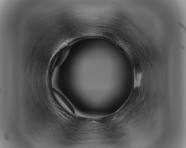 X0000097470387200802291316