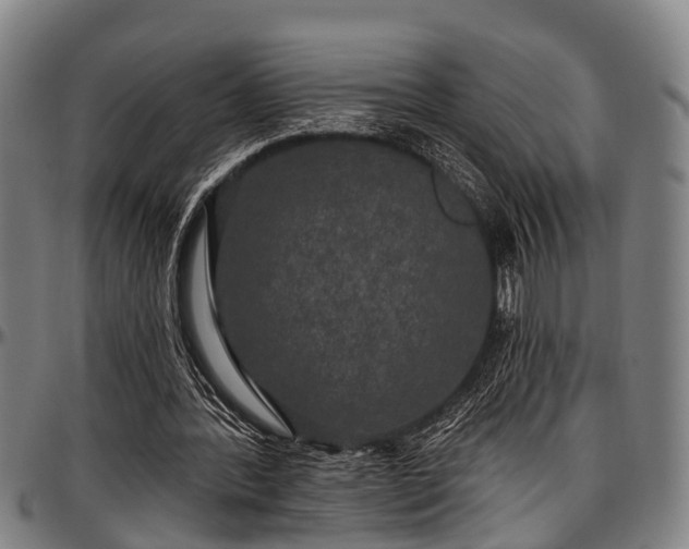 X0000097470388200802291316