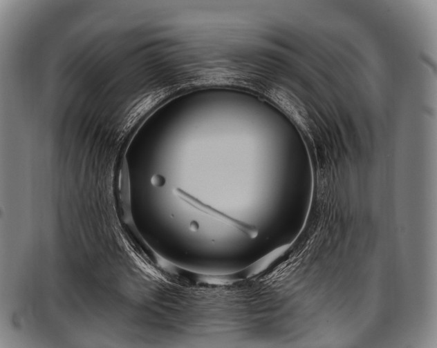 X0000097470389200802291316
