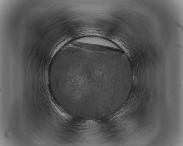 X0000097470390200802291316