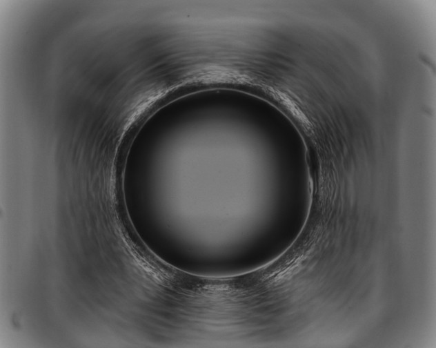 X0000097470391200802291316