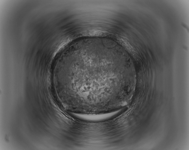 X0000097470392200802291316