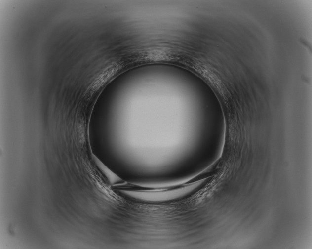 X0000097470393200802291316