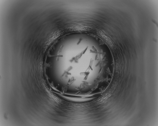 X0000097470394200802291316